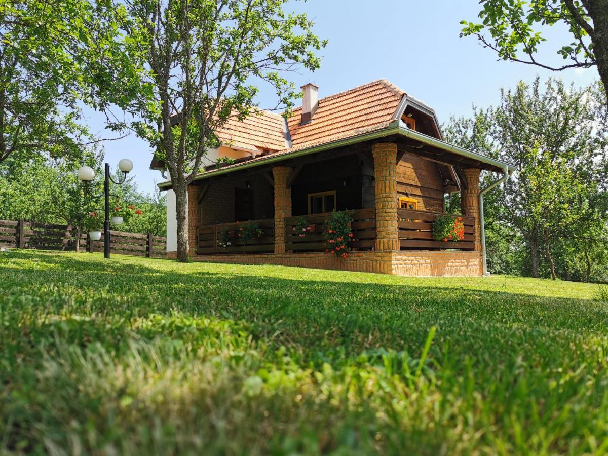 Apartamento Seosko Domacinstvo Bondzulic Užice Exterior foto